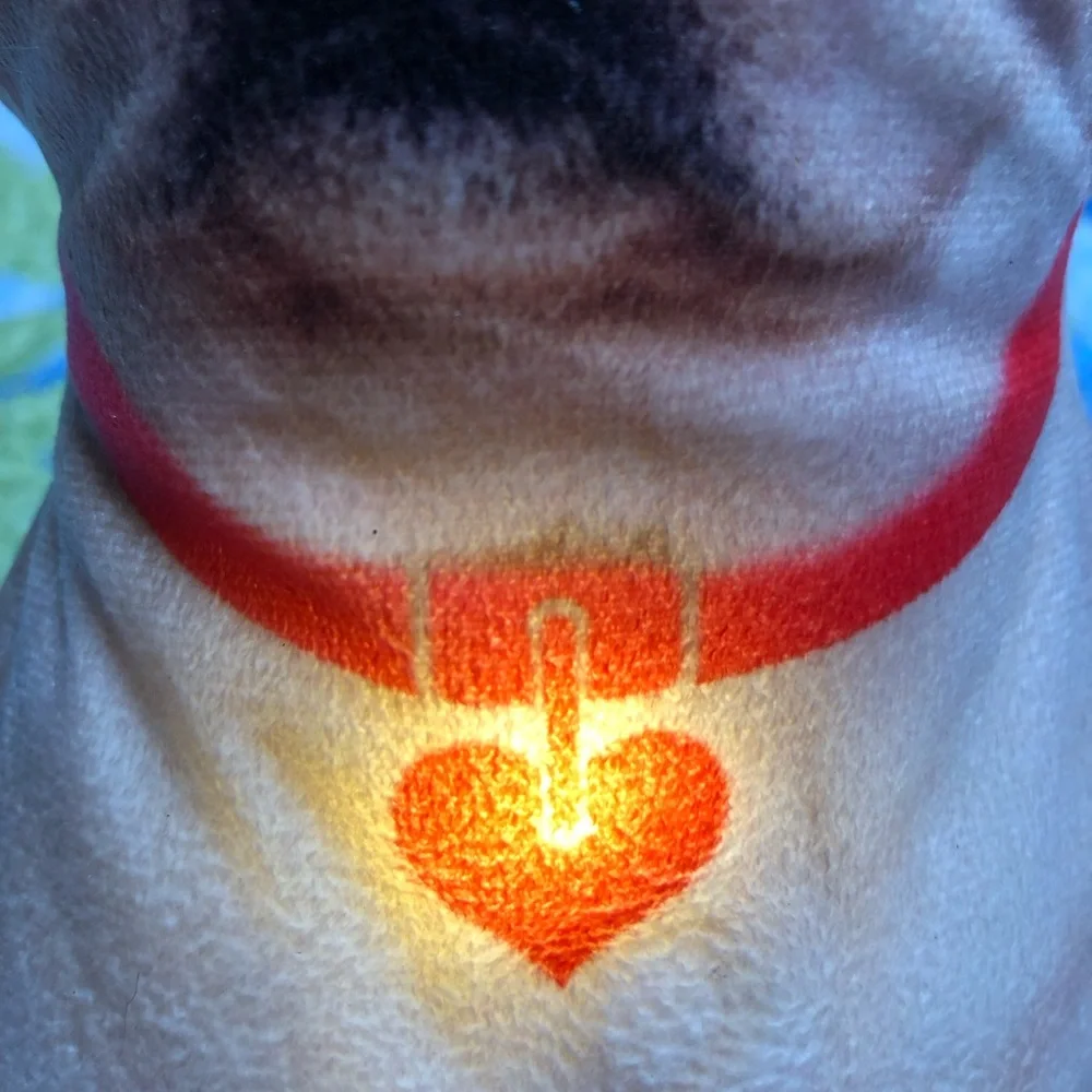 Door Stopper - lights up! Golden Labador retriever for that special Pet lover.